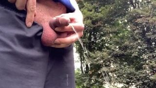 Public risky pissing