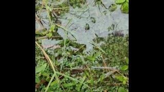 I Love Pissing In Puddles In Nature. It’s Very Exciting And Sexy, Isn’t It?