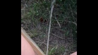 Long campsite piss at sunrise