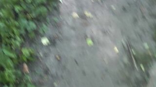 marking my territory peeing in the forest