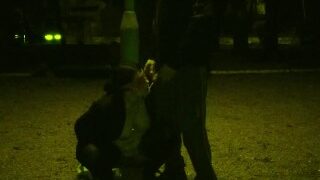 MILF 50+ golden shower in a public park