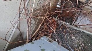 My favourite piss hole