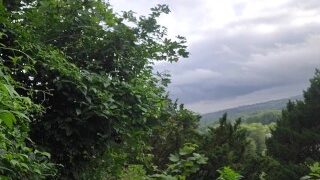 Nice View Piss In The Park