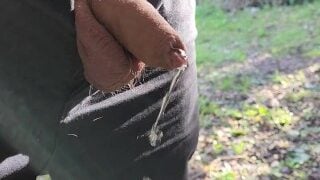 Outdoor Desperate Piss Risque Near Path