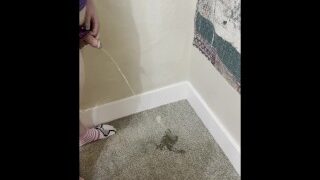 Peeing In the Corner On the Carpet