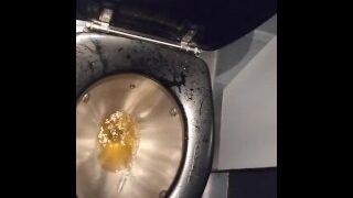Peeing into a train toilet again
