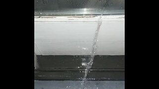 Peeing on my door for fun