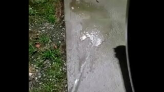 Peeing On The Side Walk