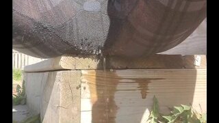 Peeing Outside In Leggings