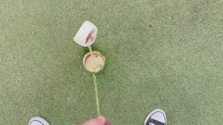 Piss Off The Golfers With A Hole In One