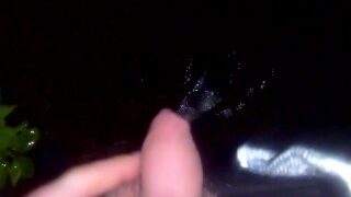 Piss outside in the night