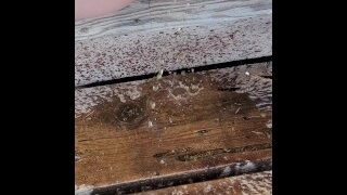 Piss Outside On My Step