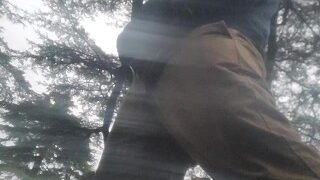 Pissing by my favorite tree , viewpoint