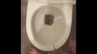 Pissing & Farting In The Toilet