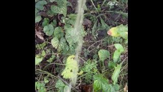 Pissing in the grass in my backyard