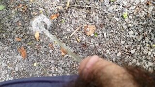 Pissing In The Park