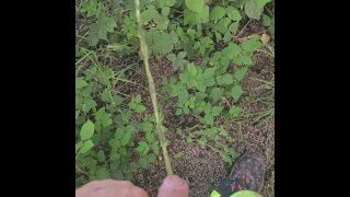 Pissing In The River