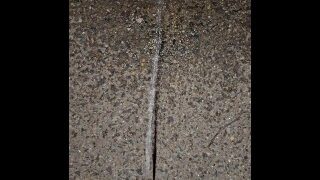 Pissing In The Stones 4K