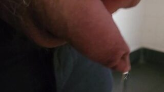 Pissing In The Toilet