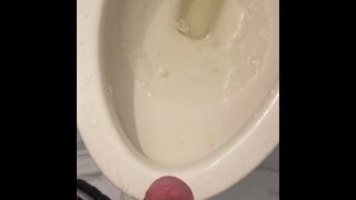 Pissing In The Toilet
