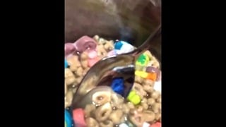 Pissing Into My Bowl Of Cereal…and Then Drinking It! Full Video On My Fansly Nikkii69