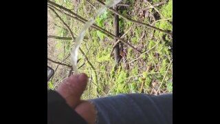 Pissing Near Caravand And Mushrooms