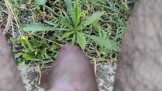 Pissing Outdoors Compilation