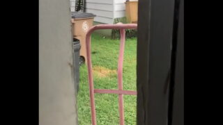 Pissing Outside In My Shed