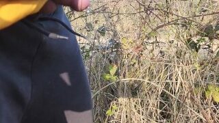 Pissing with the sheeps and trees and sun and peace