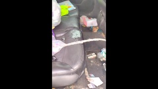 Quick Piss In The Back Seat