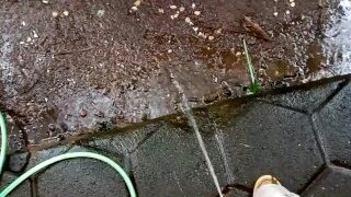 Rain And Pee