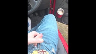 Request – Pissing In The Neighbours Car In Public