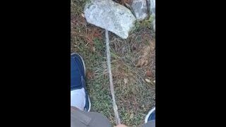 Risky Backyard Pissing