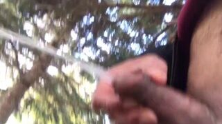 Risky Piss In The Park With People Nearby