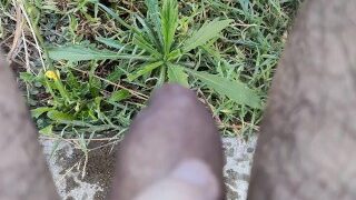 Sitting down and pissing on grass