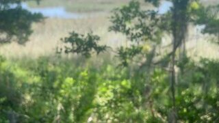 Soft Cock Public Pissing