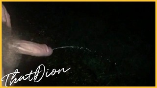 Thatdion – Really Needed To Pee, So Went Outside.