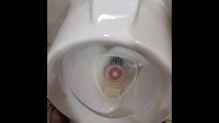 This Is The Piss I Took Before The Golden Shower