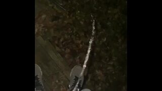 Took a piss outside my step mom’s office I hope my milf neighbor was watching public nature