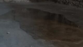 When I Got Out Of Bed I Immediately Peed On The Floor Of The Room