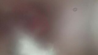 Yummy Pee from your Pet Papi