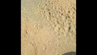 Coast Desperation View Swimming of