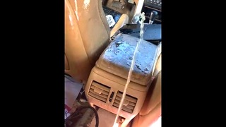 Sprayed The Vehicle With My Piss