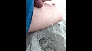 Taking a Piss on a Nudist Beach