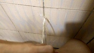 Peed on My Toilet Wall