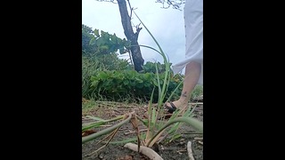 P1SSQUEEN pisses on the beach in Costa Rica