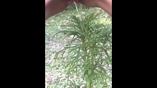 Golden Shower for My Garden –  Naughty Girl Pissing Outdoors