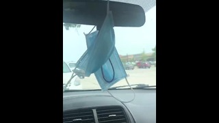 Public Car Piss Girl