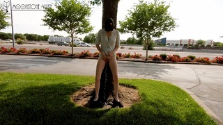 Pissing in Public View