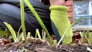 Pissing Next to this Hot Asian Milf at the Park